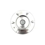 P11-3301210 Rear Wheel Hub Bearing for Rely RelyX5
